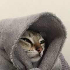 Алексей Шелков, 20.04.1901, Чебоксары