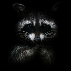 Шерзод Алламуратов, 09.12, Чирчик