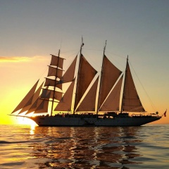 Артур Алимбеков, 25.05, Стерлитамак