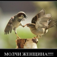 Куаныш Шыныбаев, 06.06.1999, Алматы