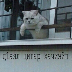 Абу Темаев, 17.04