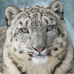 Марина Леонидовна, 16.12, Москва