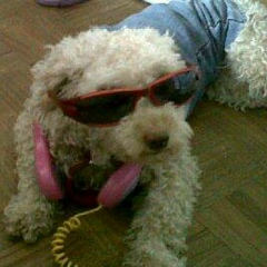 Micaela Lagos bolso, 24.09.1993, Montevideo