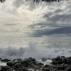 Мария Попова, 25.08.1955, Москва