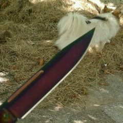 Никита Майоров, 03.01, Boston