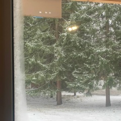 Ринат Хамитов, 01.04.1984, Новосибирск