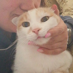 Настасья Галифастова, Саяногорск