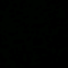 Tural İsayev, Шейдлер