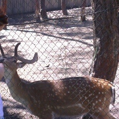 Анна Солодухо, 10.10, Харьков