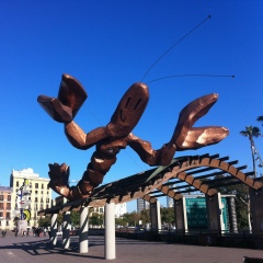 Павел Медь, 24.06, Екатеринбург