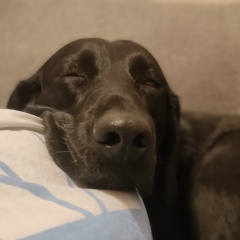 Макс Сентюрин, 13.02.1985, Санкт-Петербург