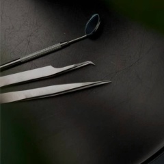 Севиль Евдокимова