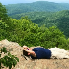 David Traub, Falls Church