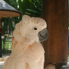 Жайдара Садуакасова, 17.05.1982, Алматы