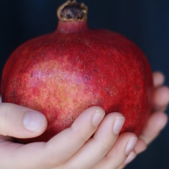 Zhuldyz Darynova, 28.03.1996