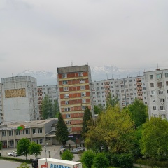 Павел Архиповский, Шангалы