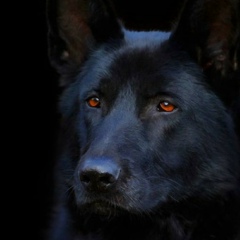 Евгений Литвиненко, 10.09, Кривой Рог