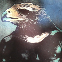 Андрей Александрович, 06.01.1989