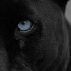 Антонина Дорогайкина, 17.09.1982, Ухта