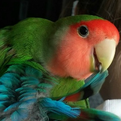 Жора Сергеевич, 16.10.1985