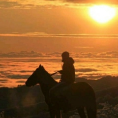 Альберт Межгихов, Нальчик