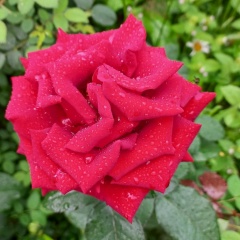 Анжелика Янькова, 02.10