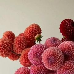 Natasha Bane, 20.07, Москва