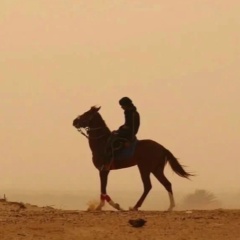 إسلام ا, 17.05