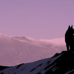 Данил Лошаков, 26.02.2000, Горно-Алтайск