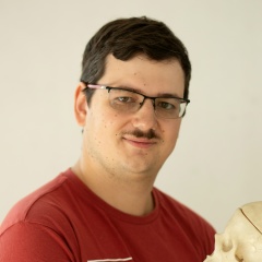 Петр Гамбарян, 17.08.1988, Москва