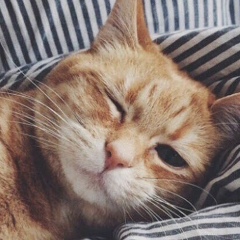 Сергей Чернойван, 28.01.1982, Калининград