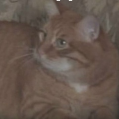 Лариса Чайка, 15.03.2000, Челябинск