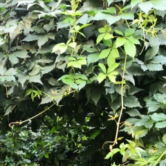 Дмитрий Гордеев, 22.09, Балашиха