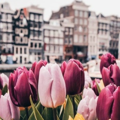 Айганым Мырзабекова, 01.12, Алматы