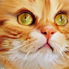 Наталья Тремасова, 22.10.1970, Калининград