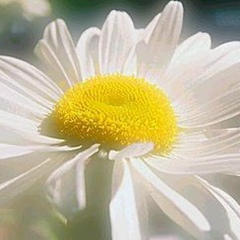 Мария Мещерякова, 04.10.1989, Липецк