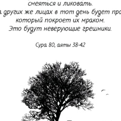 Джа Яяяяя, 02.02, Майкоп