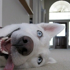 Станислав Мотчев, 06.10, Москва