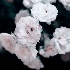 Расул Касимов