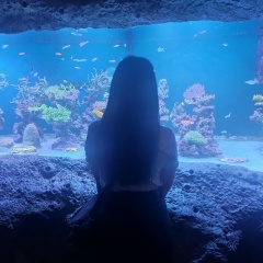 Екатерина Старостина, Тула