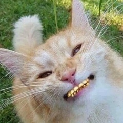 Сергей Петров, 09.05, Санкт-Петербург