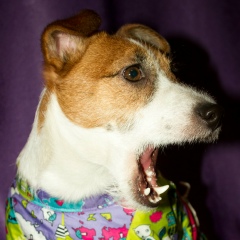 Федор Петров, 18.05, Санкт-Петербург