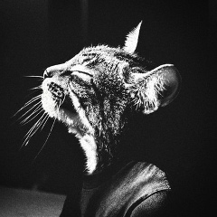 Махтум Мамедов, 24.11.1990, Ашхабад