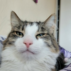 Катарина Морар, Вильнюс