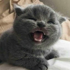 Николай Смирнов, 28.12.1988, Москва