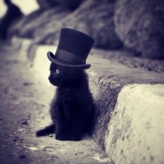 Наталья Триппель, 07.12, Москва