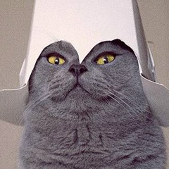 Вячеслав Кот, 24.06, Севастополь