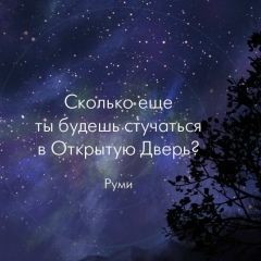 Анна Алексеева, 29.05.1995, Актау