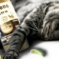 Серега Мальцев, 24.12, Астана