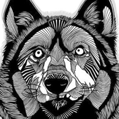 Сашечка Smile, 20.01, Симферополь